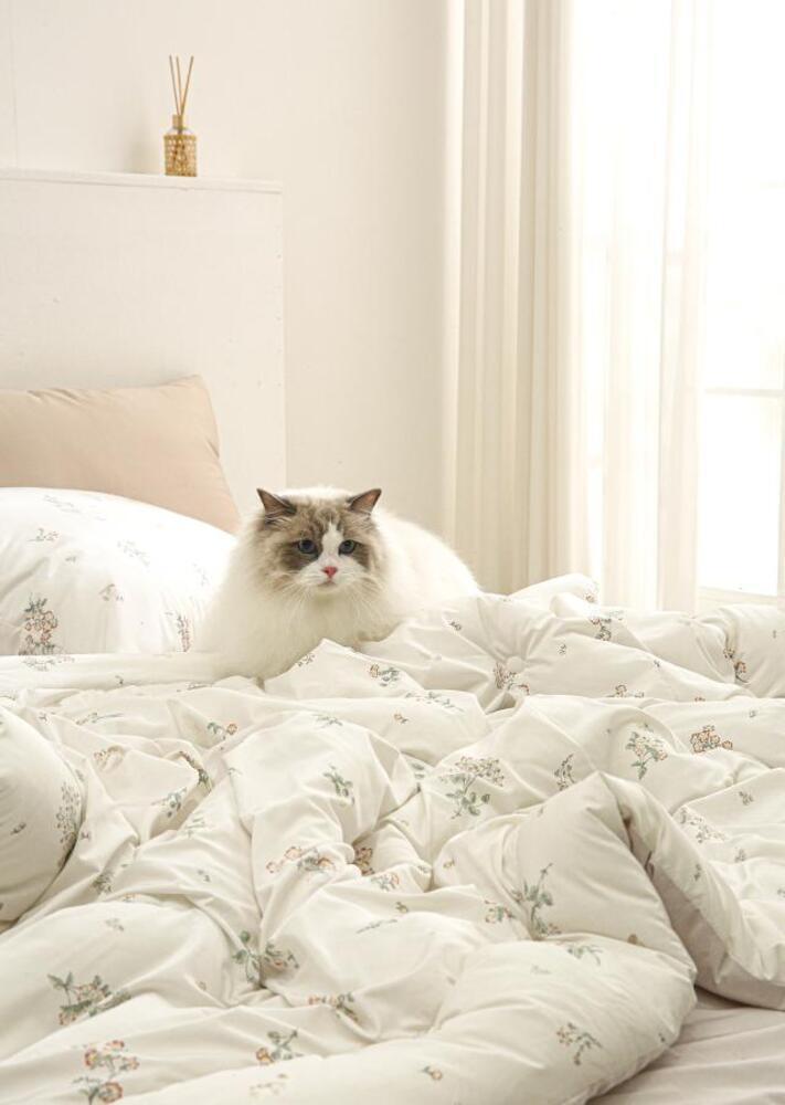 39c788d7d79c2ba5bc36d7a249a413f1