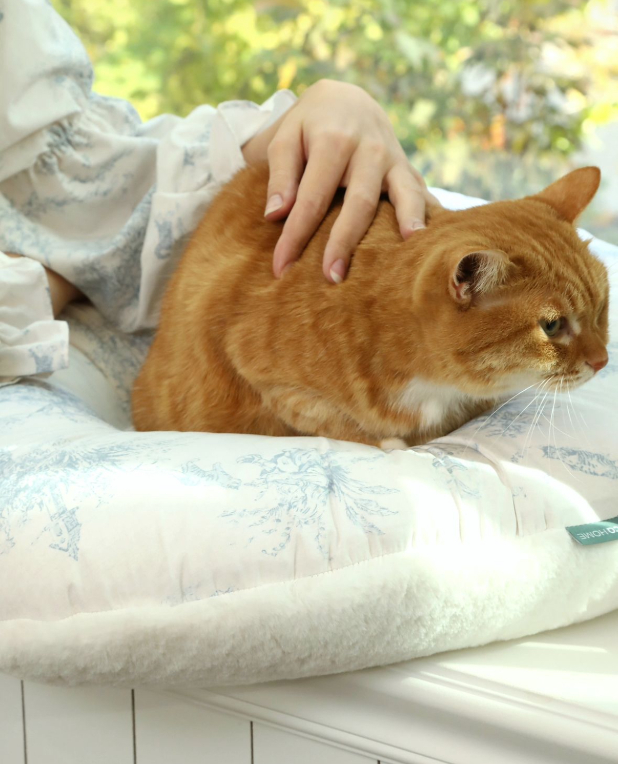 IMG_5520-1731390282674