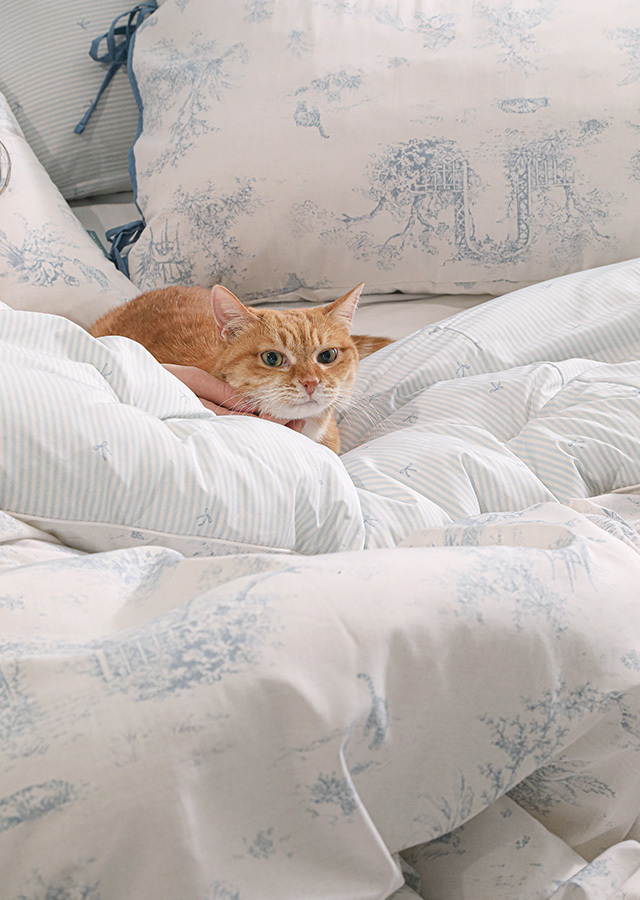 05b332e27ebc98bc0c80c77a5d69b6ce