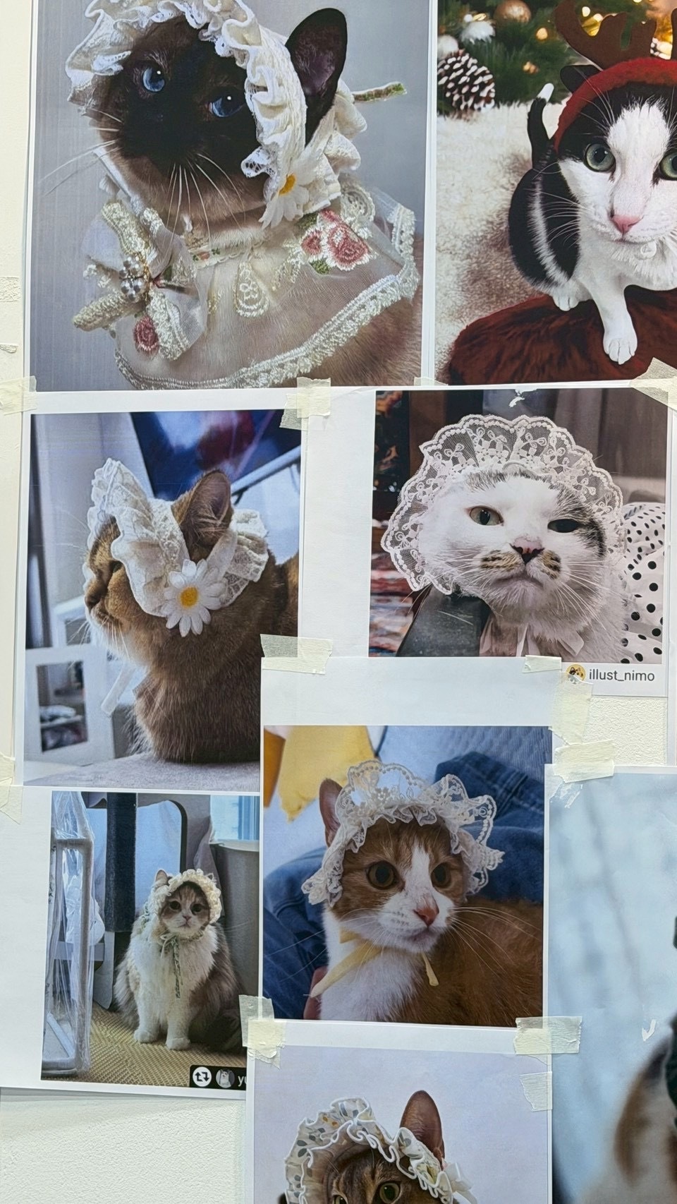 image_949AC28E-2268-457A-A6A1-C3E2F129F30F_1766322507