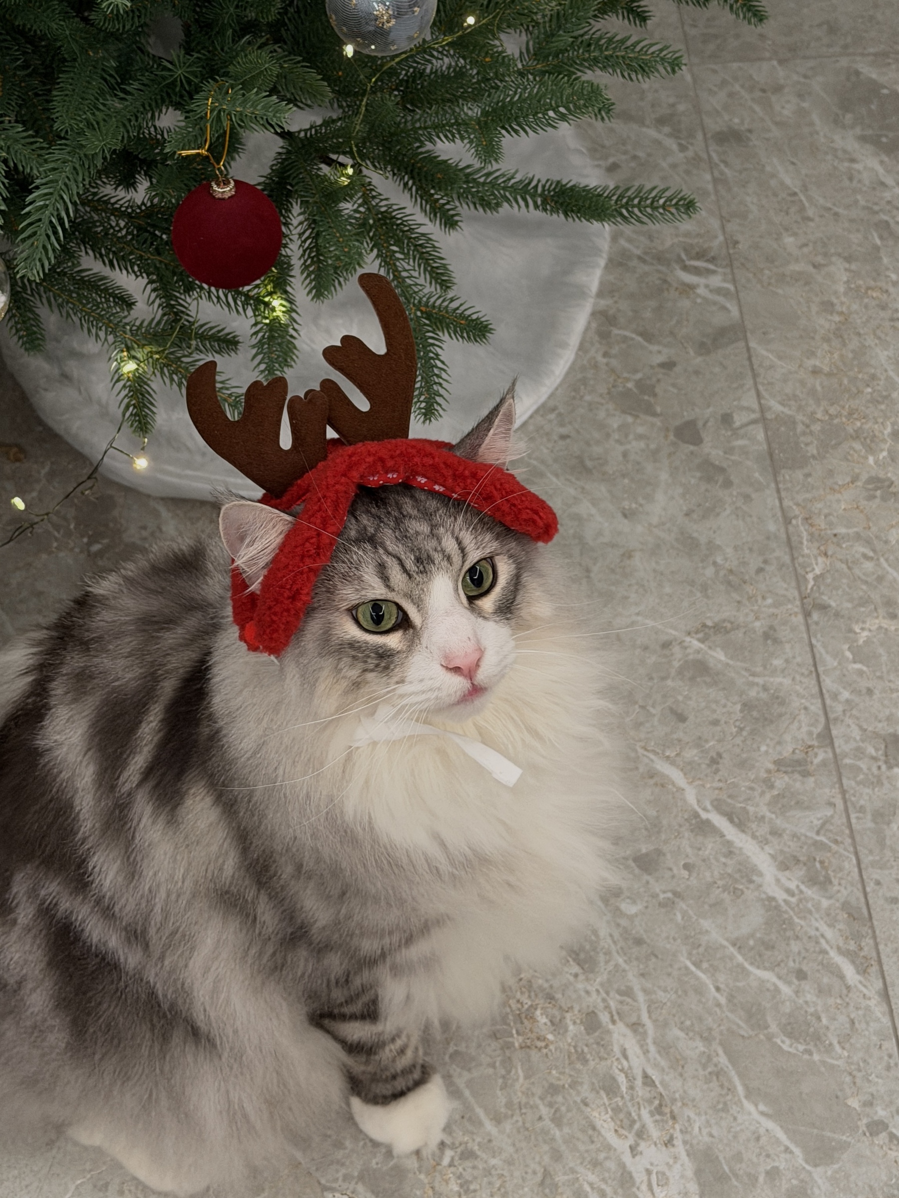 image_958F5DC1-AB2D-45FE-95B7-529E665429BC_1766335233