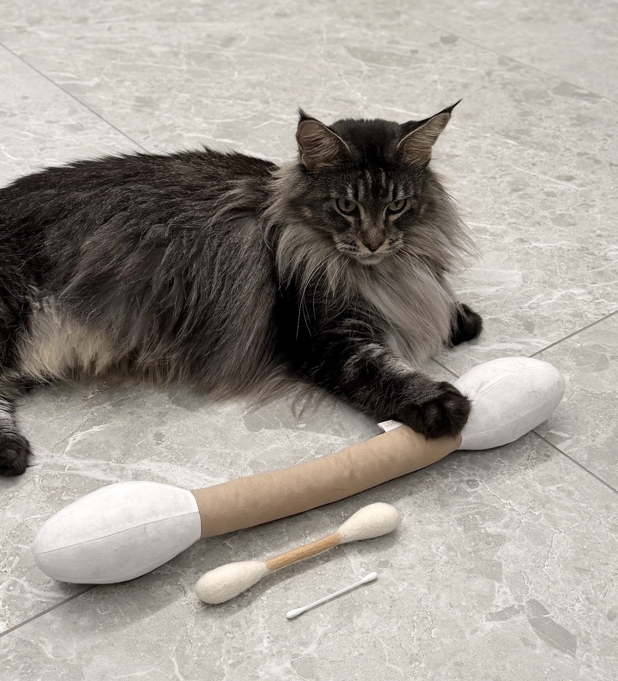 image_AE815886-C55D-4E46-9A72-6030DE134DB6_1766406721