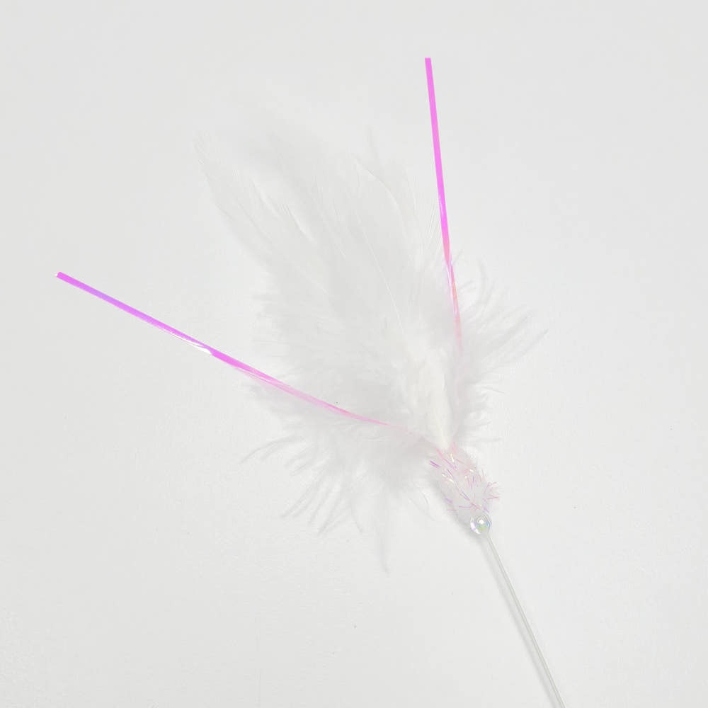 image_83CA716B-7E12-46B1-9D91-00A99340E39C_1766553380