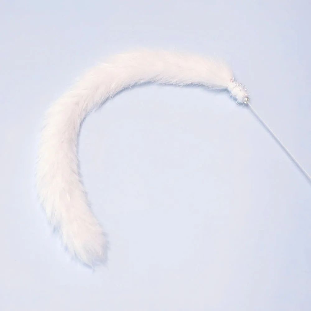 image_CA007ACA-2F46-4F9E-ACF1-ACDBA93D6BF3_1766580814