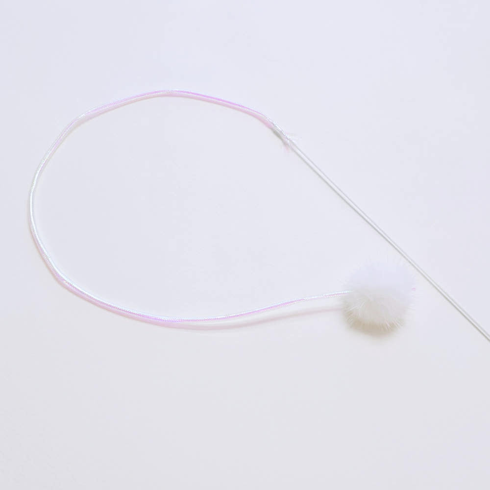 image_C4364BBF-A659-4BCD-B809-A1412CE85241_1766581080