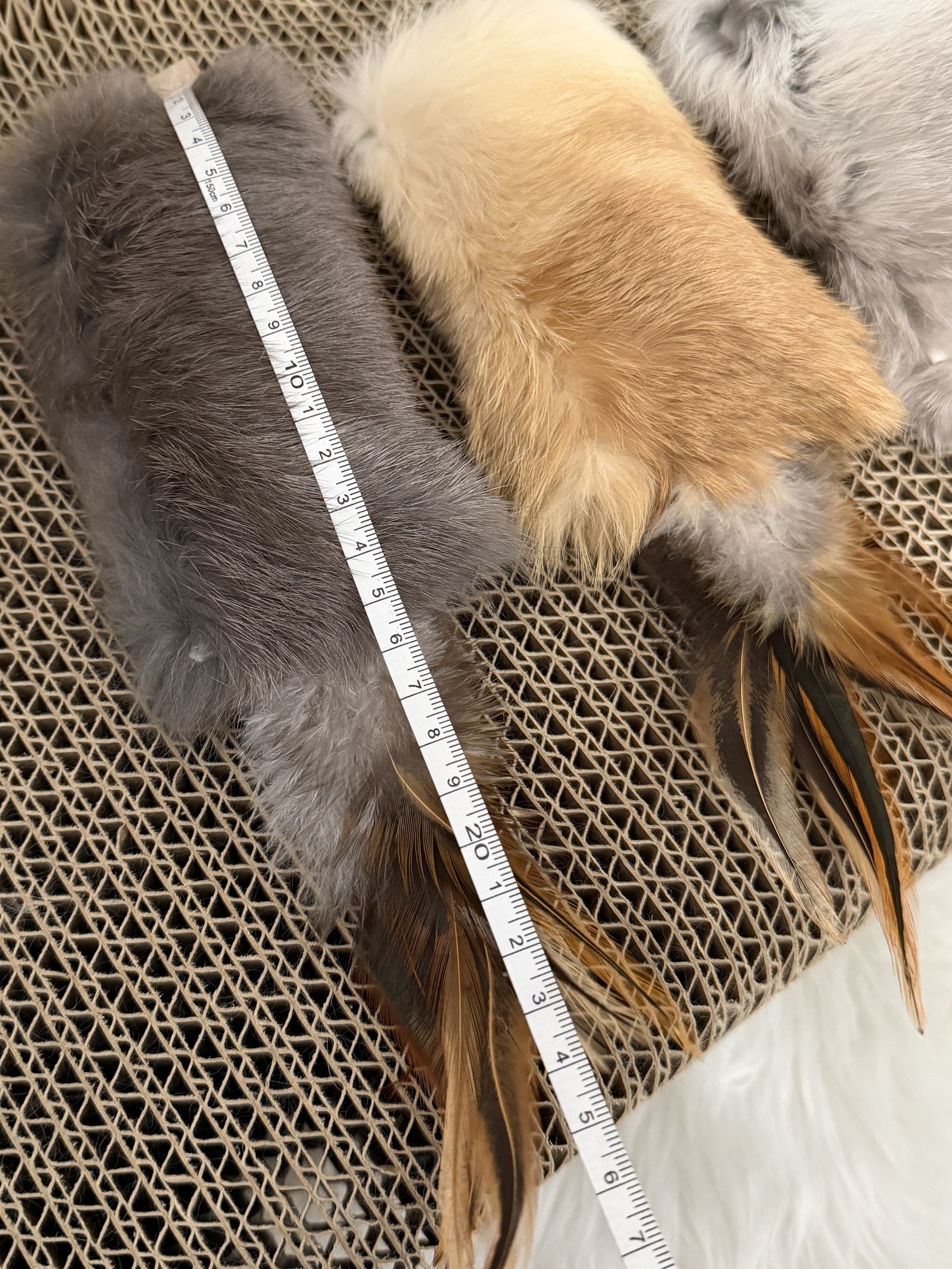 image_9C3CD8A3-AD49-4EC8-B9B4-59B6012D72DF_1767441521