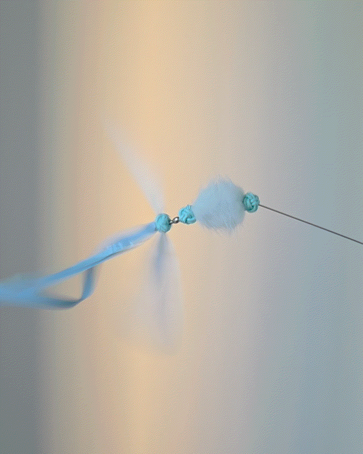 image_F210149A-D8B6-402C-96C1-9826251470A9_1767496980