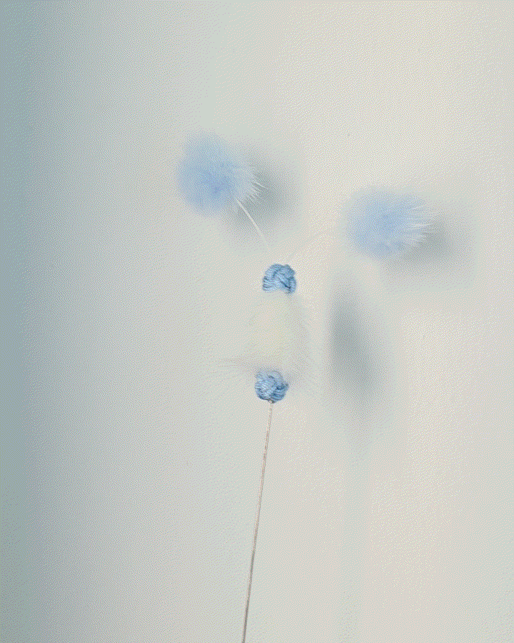 image_7F8BA099-971C-4D7A-B947-81C83B893D51_1767497156