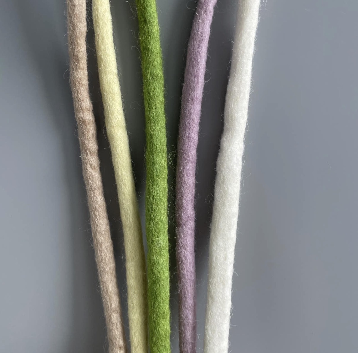 image_6BDD3FDA-540E-4C2F-9B11-38B9CD3277E0_1768037327