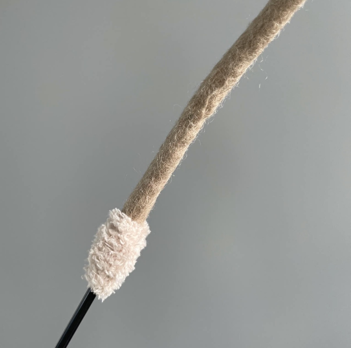 image_A2CE6E67-6C5A-4420-82DC-7B807C3C66B5_1768037328