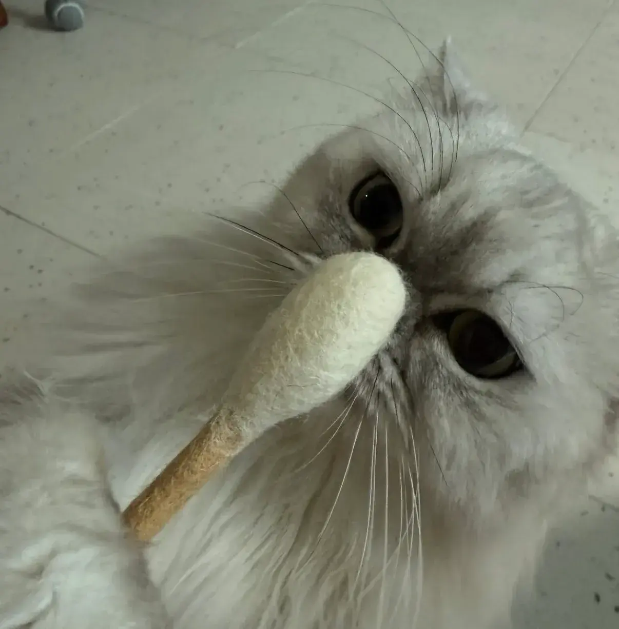 image_F3FDEC48-A1C7-46D1-B6F1-866D3F7BF2A6_1764605856