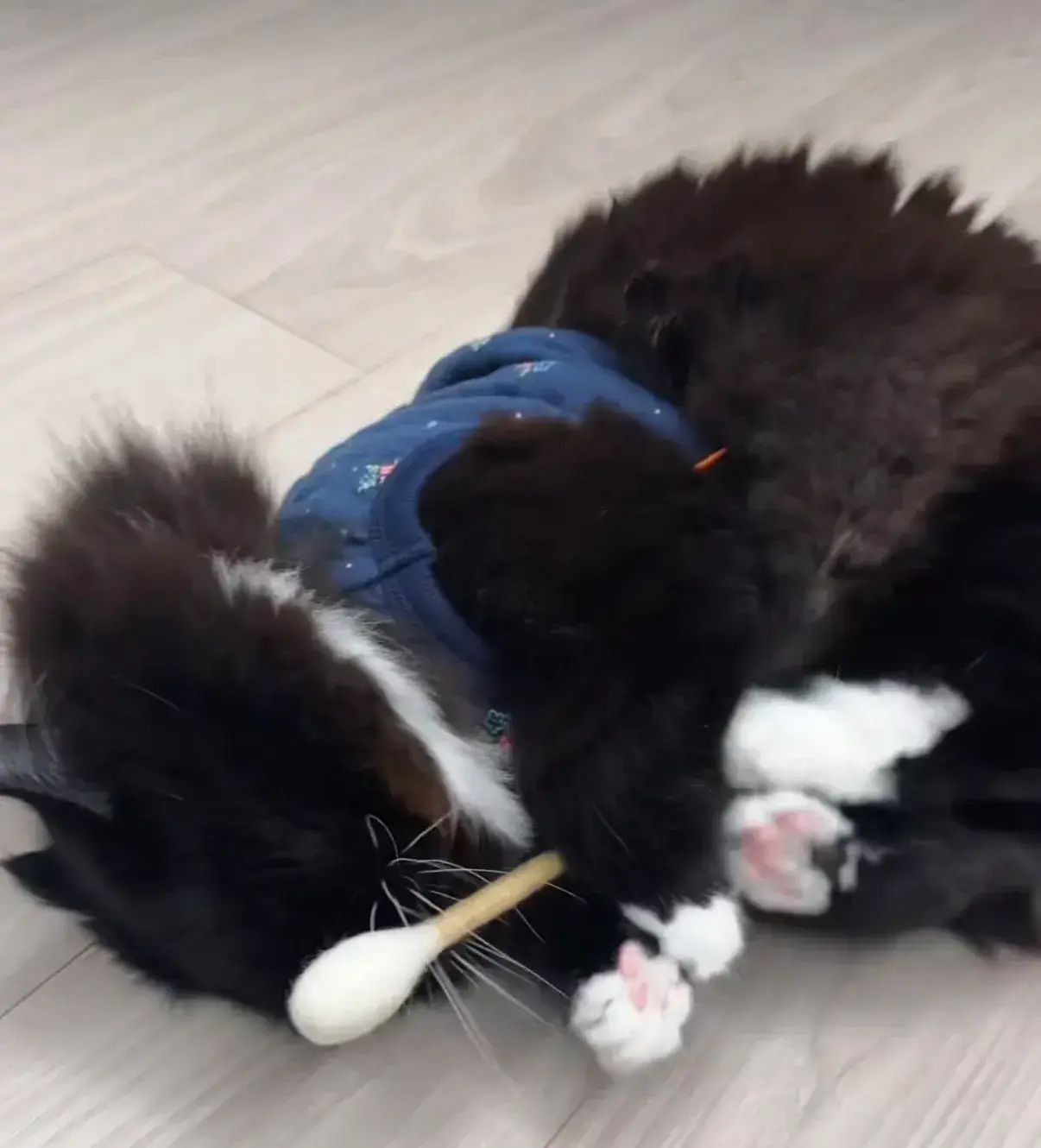 image_0FCF72FA-16AD-4AA9-A2EF-6262A6A57EDE_1764605871