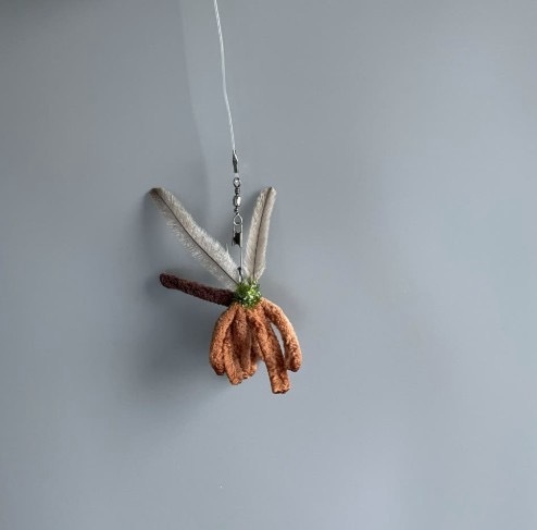 image_9AF6417B-DC53-49FC-BDD4-18A2468698EF_1768307880