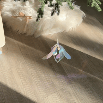 image_B7CE7C65-2025-445D-A10E-8C276482BAA6_1768362197