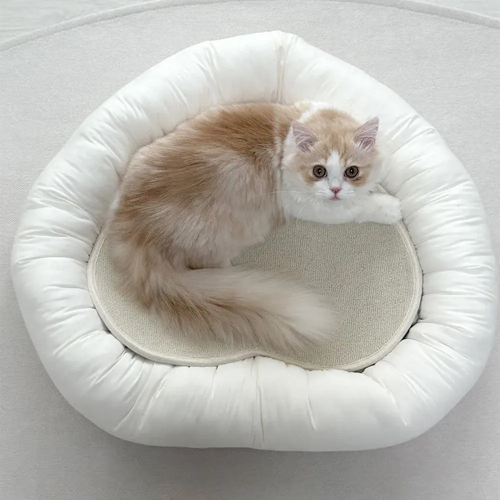 image_8F691981-8371-4E19-A6A3-5489CA814B8E_1765168225