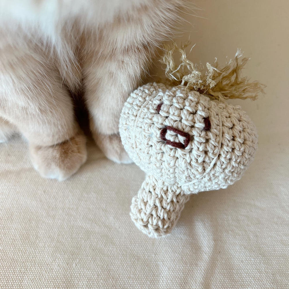 image_5329541E-7C7C-4760-BBB7-397152BDC018_1768650848