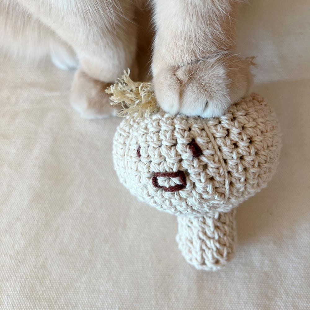 image_6059161F-3D51-4E76-B456-70A061B59AB8_1768650848