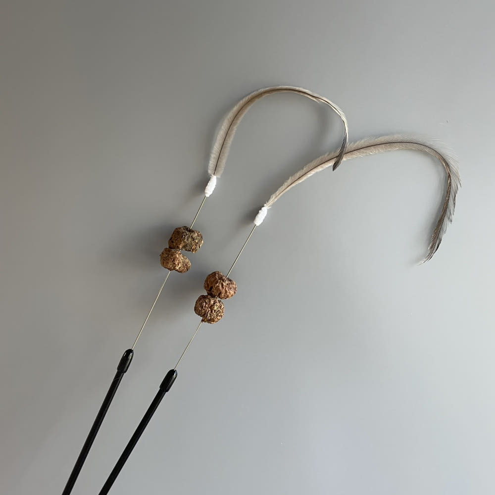 image_7F9C8C77-BFBF-4091-BBBB-7B34481A54F1_1768734803