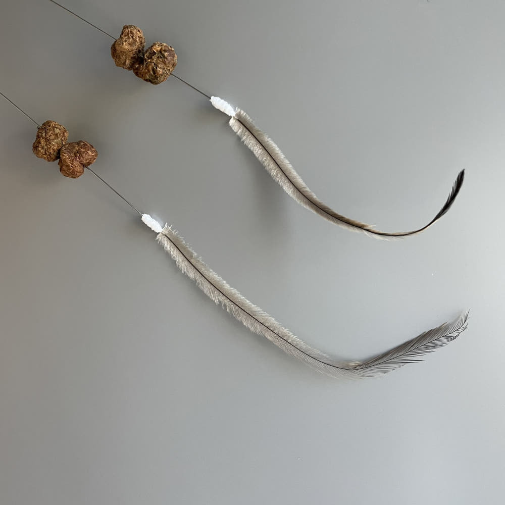 image_B817B9A5-31BA-4B0C-96C3-57CDDD8C0C49_1768734803