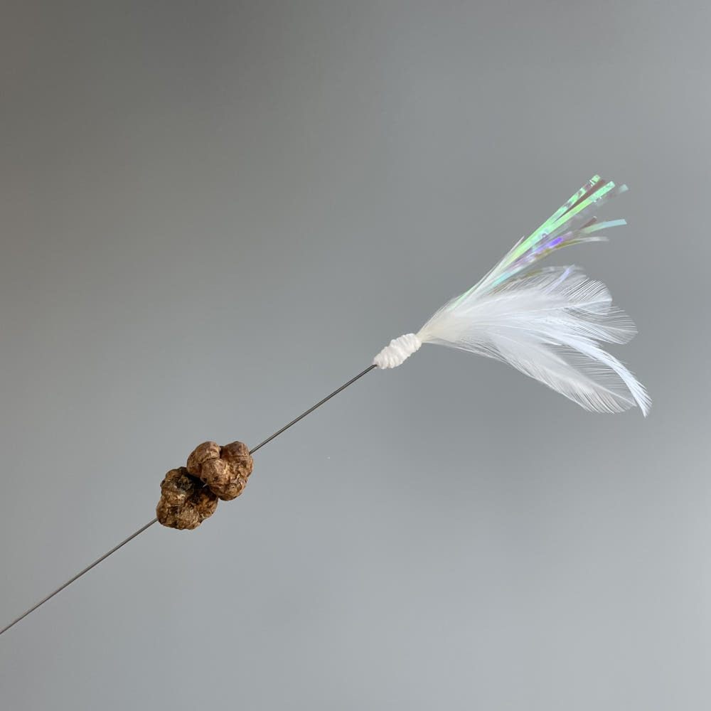 image_1A83300E-5175-4A17-B33F-353028915C02_1768734915