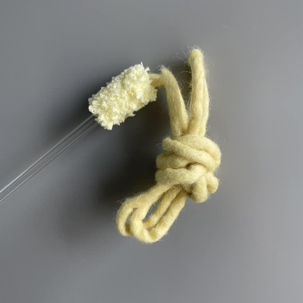 image_1E3CC516-5B68-4737-8D8B-1AB27DF3E583_1768735929