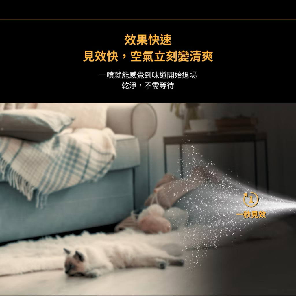 image_01816915-E955-43DF-9911-418B38ED26EC_1769319804