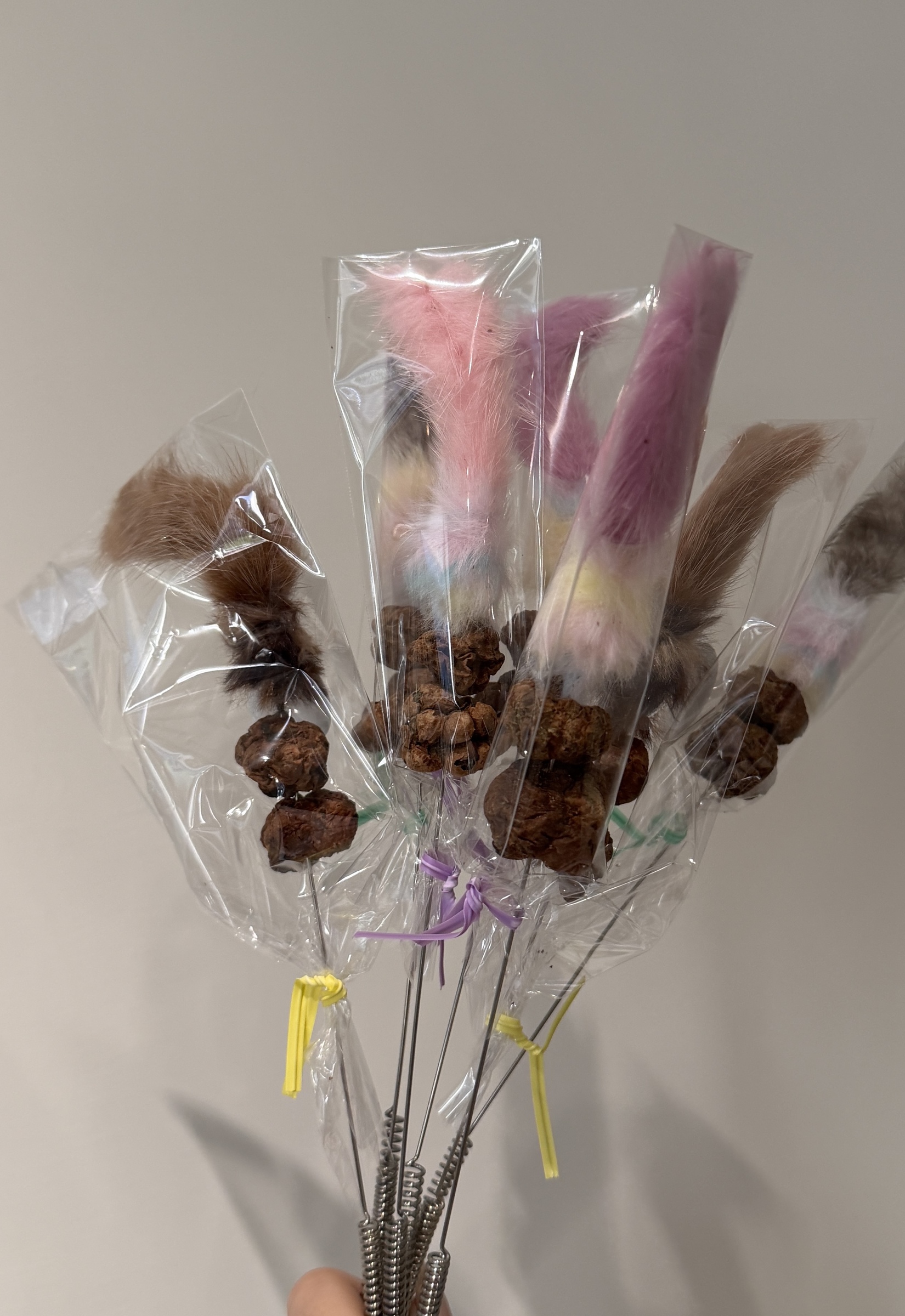 image_1ED9AE6F-41EA-49D8-B372-FB4272CE94A2_1769502225