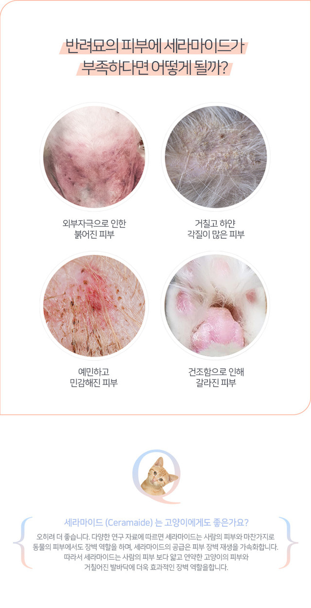 image_43D529D0-C96E-492B-8645-509EA59FE007_1769570695