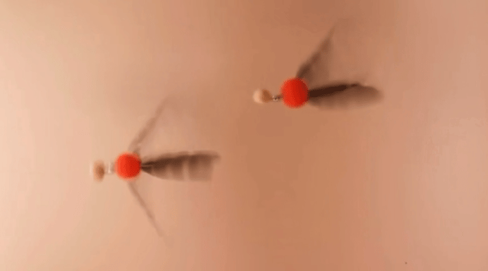 image_DAB92893-EC6B-428E-ADC0-5207DD2B925C_1769581060