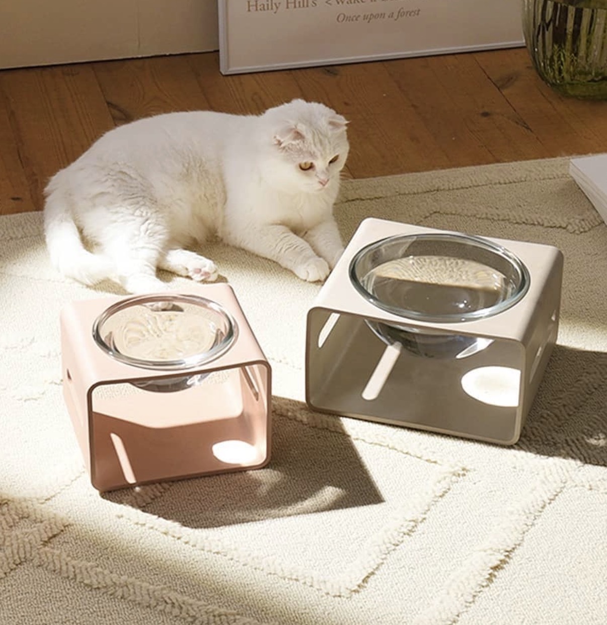 image_960B6CDD-07DD-42A8-ABF2-70A1C570D07C_1769672437