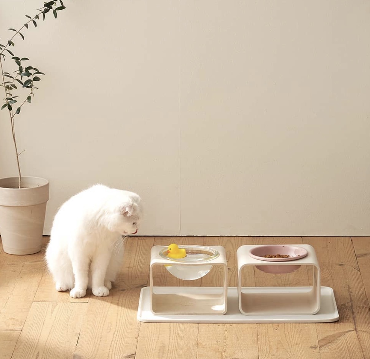 image_476DFFB1-511F-4605-A07E-71693DAD18B2_1769672437