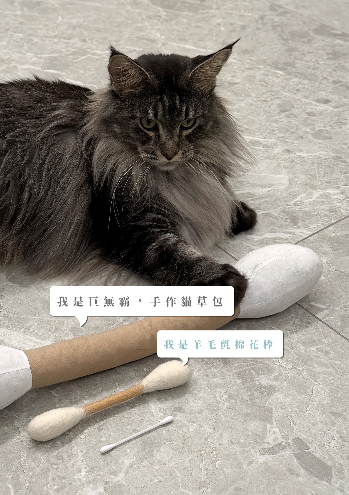 image_C0A492FA-6E8B-4DF9-9FC8-F11464605AD5_1770196619