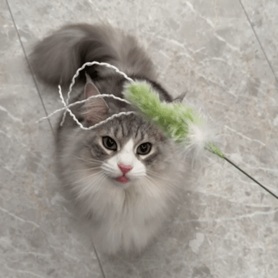 image_3C0038D4-0F84-43A3-A758-48F74E7A28FD_1770214469