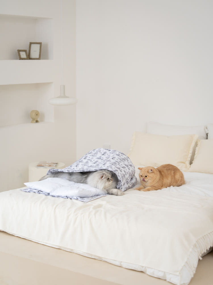 image_21BDF469-FD6A-42E8-AED8-DAB79D442617_1770381418