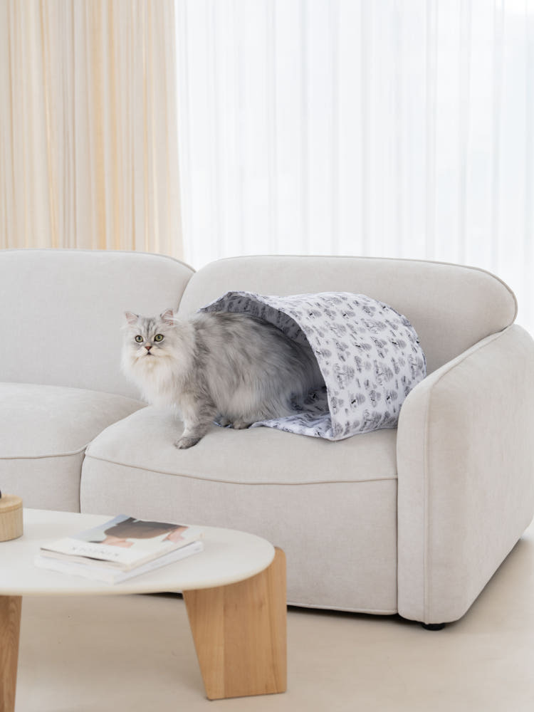 image_44798565-3600-46C9-919D-EC827EE40FFA_1770381418