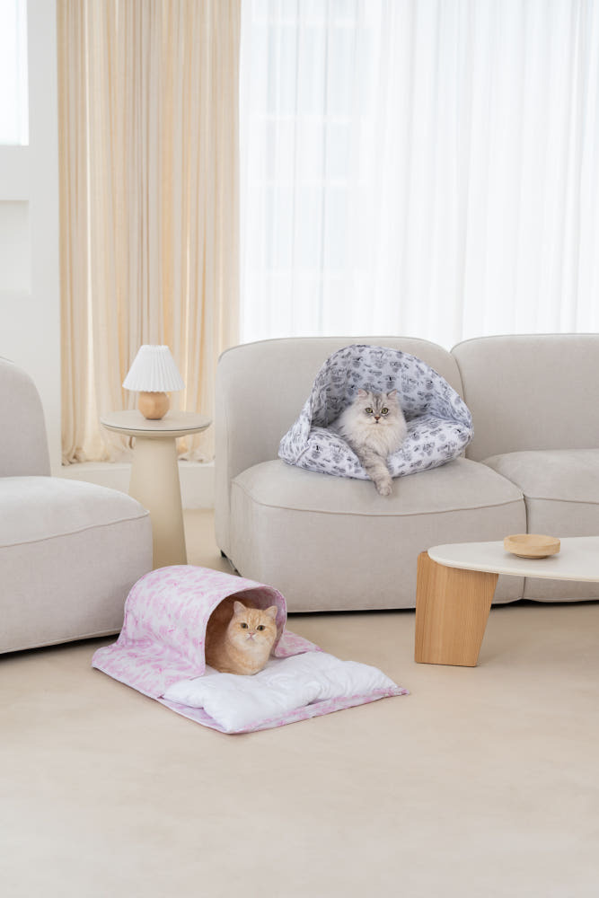 image_26108682-F9AE-40AA-88F9-D01319A99BDD_1770381418