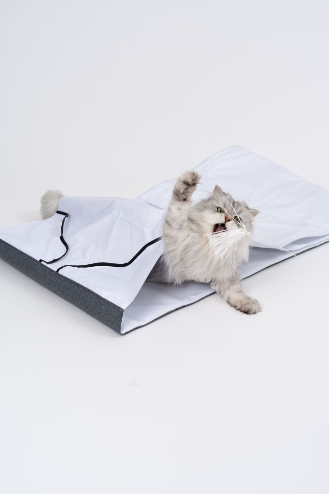 image_8C9220ED-A547-4351-8464-D6DCA8A53F10_1770382320