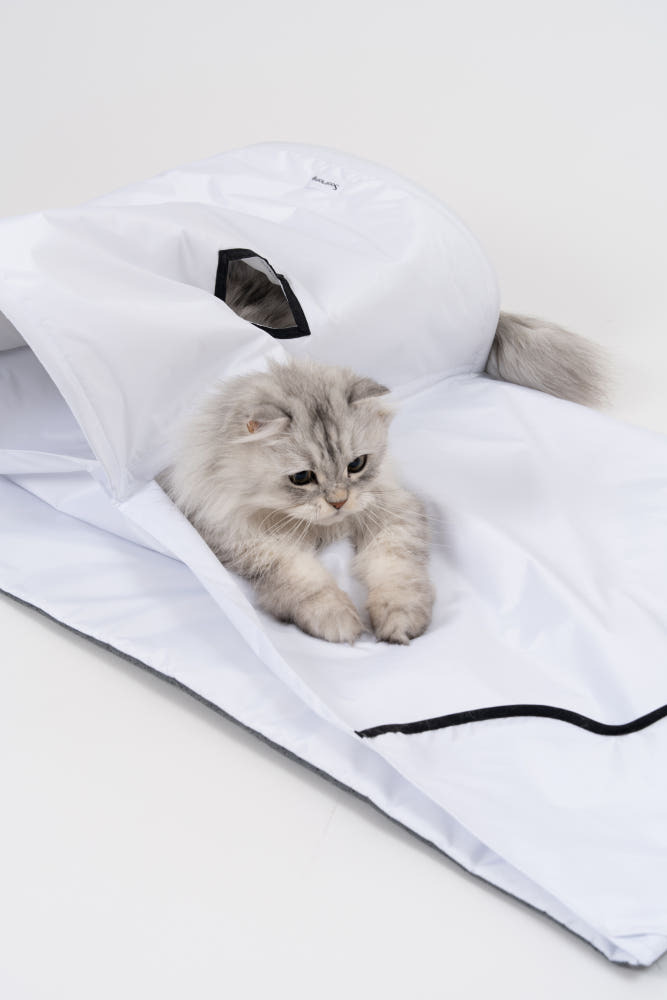 image_D63CF254-9151-4754-B655-A143ED2511E3_1770382320