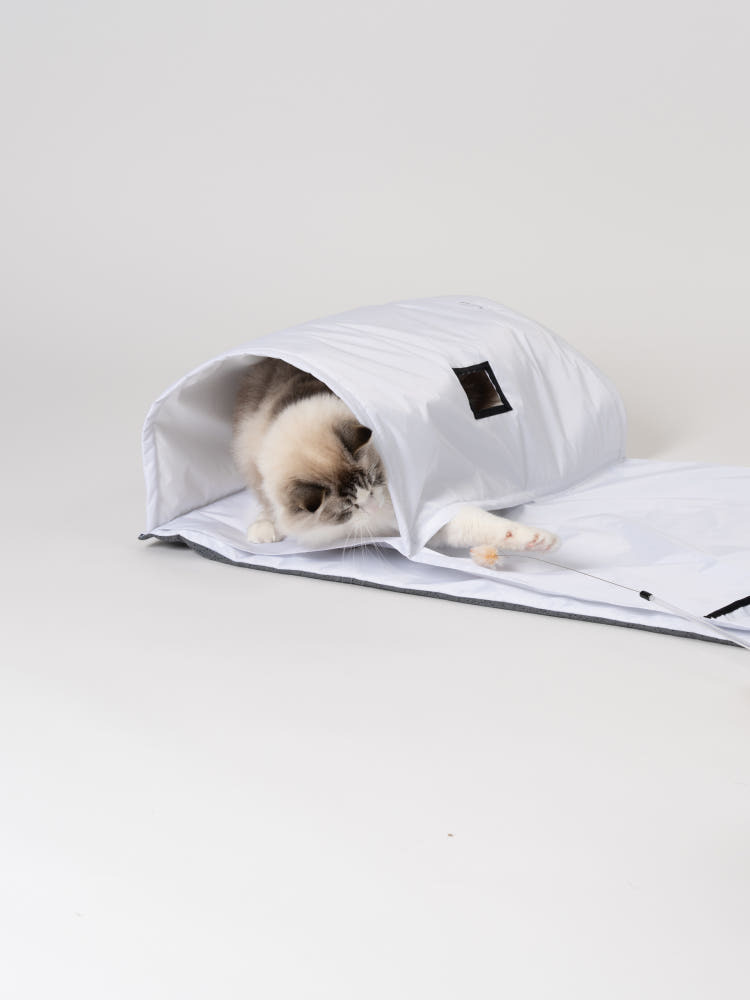 image_92CAFDF0-DFE7-400D-9355-4FF9CF156B1C_1770382320