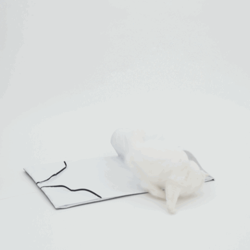 image_B6C75CC3-108C-4397-A98B-0B9401D0A323_1770382414