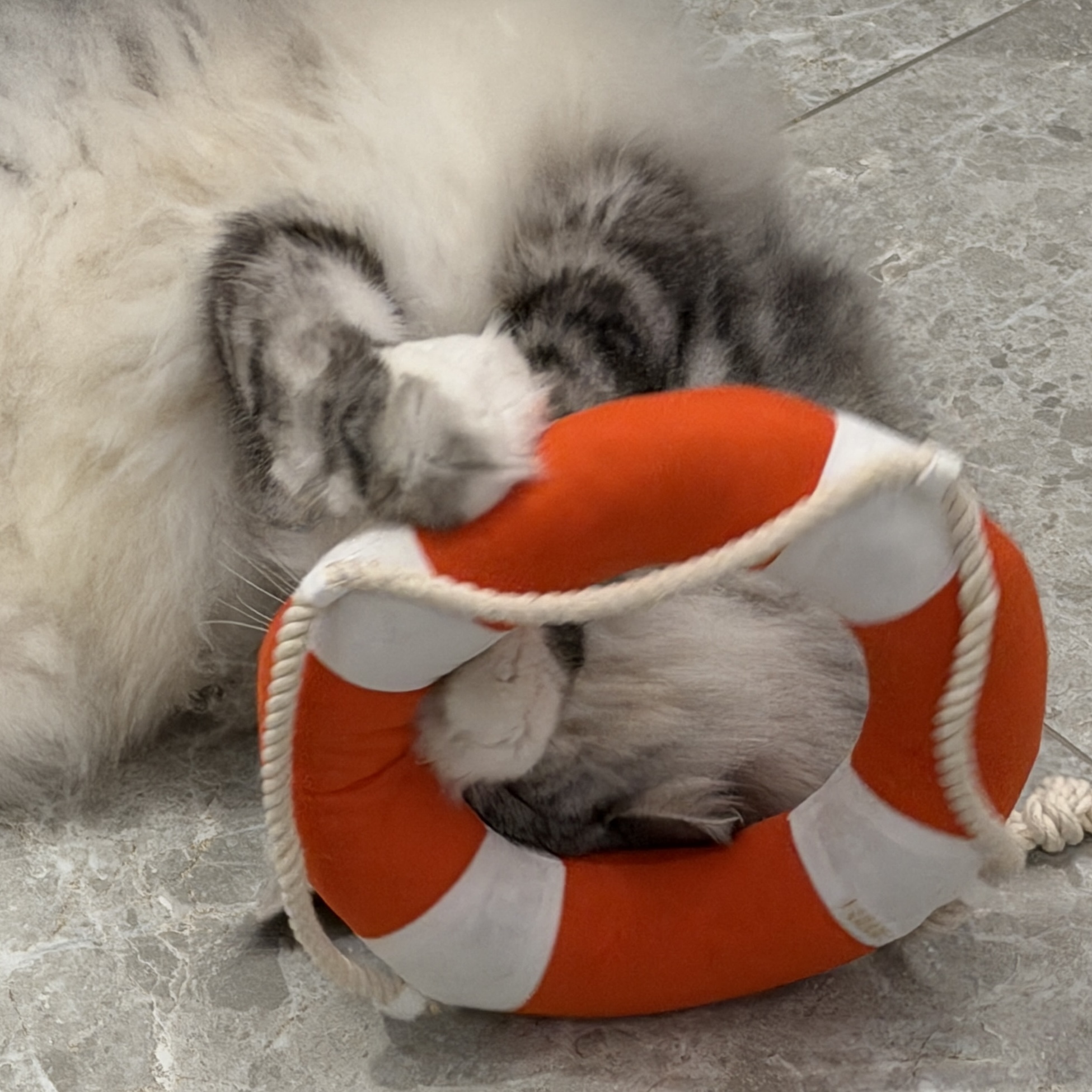 image_B5645304-7A4B-4719-A3EE-CB5C7BB2CCE3_1770471868