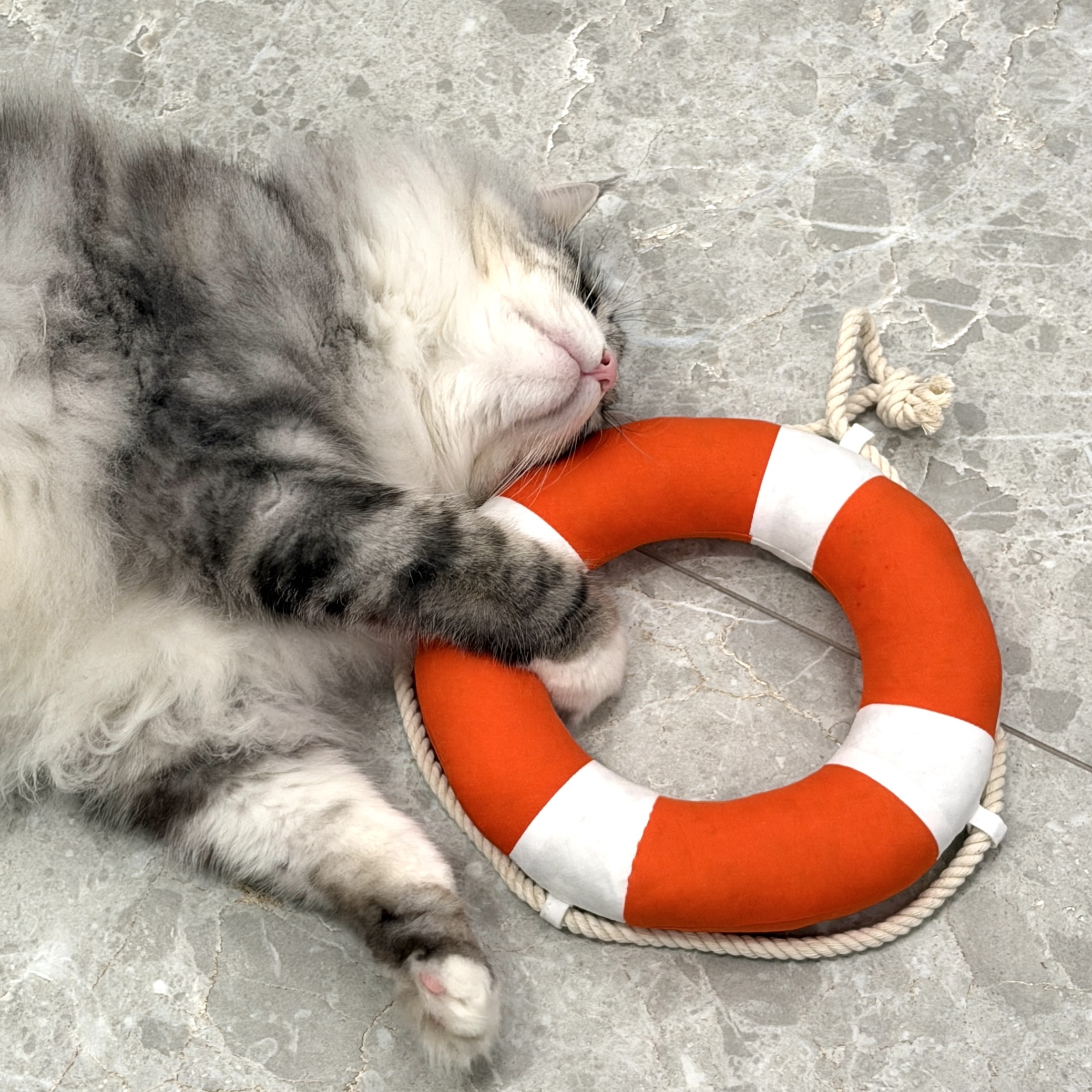 image_CEC5D329-D278-44A2-A4DD-01A5E89EB063_1770471868