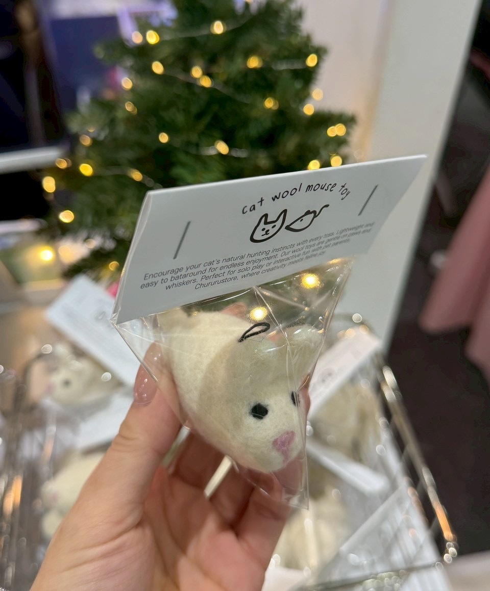 image_C598DA99-ACD9-43DD-8E35-7A11382C48AB_1771494614