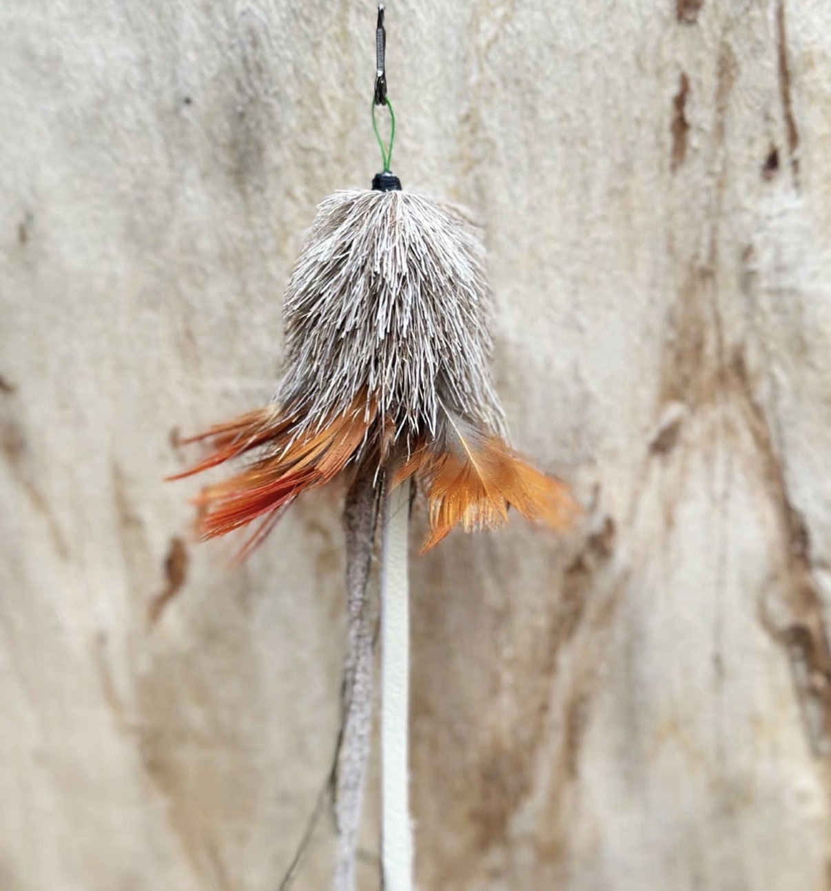 image_C512C67E-A453-47B3-A1EB-0070FA612E2A_1771511150