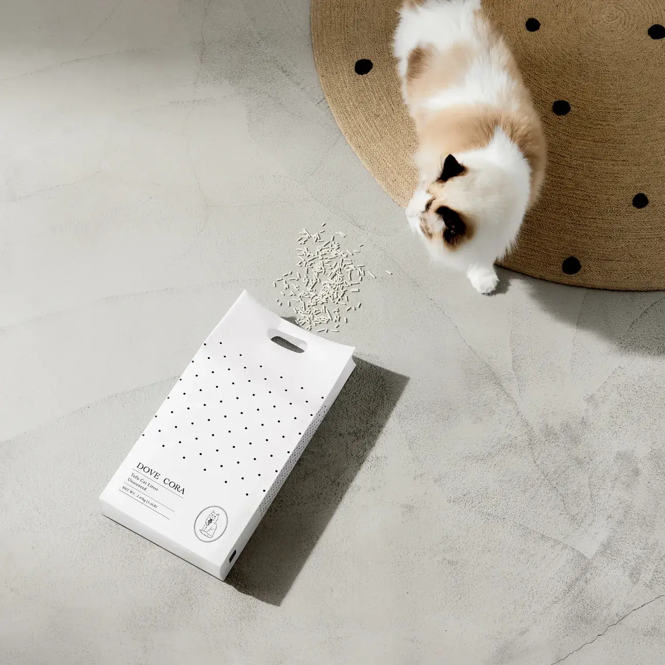 image_45CA3C58-FBD5-4832-BB04-96C52052472C_1772429554