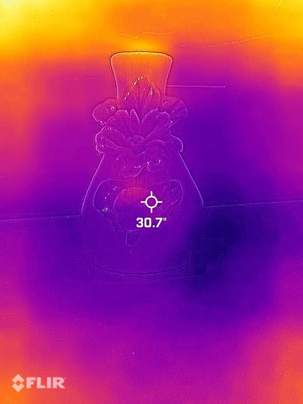 20230520T132239-1708427883988