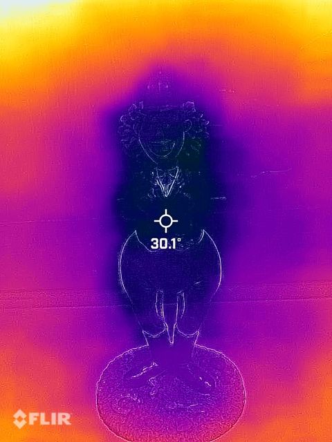 image_CAEE9D58-FAD4-4CA3-8BFF-7C772F47F3EE_1761835603