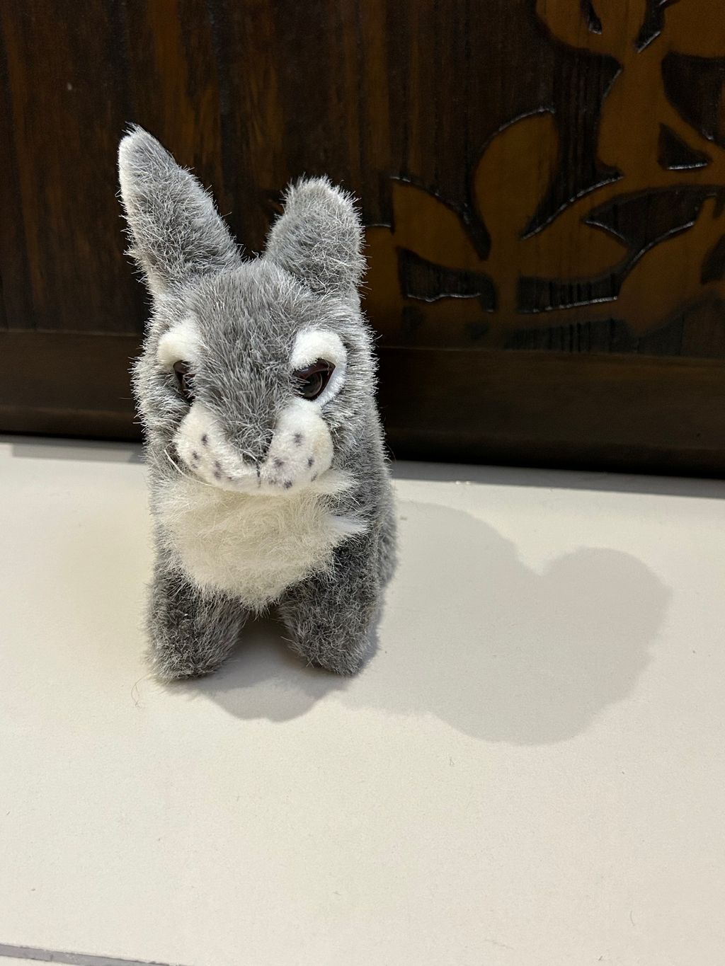 image_4A841073-BFDF-455F-BA74-7C75D634B6DD_1762438642