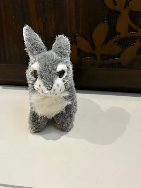 image_4A841073-BFDF-455F-BA74-7C75D634B6DD_1762438642