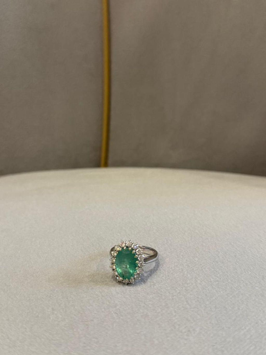 image_DBF7FB19-31D3-4136-A66F-4429E2E6AA53_1768199916